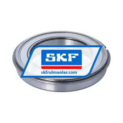 SKF 6020-2ZNR