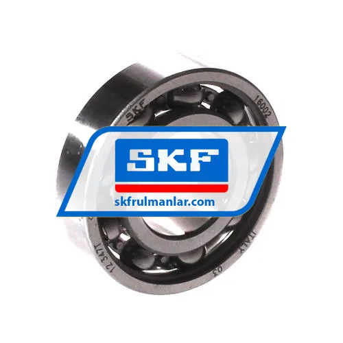 SKF 16002