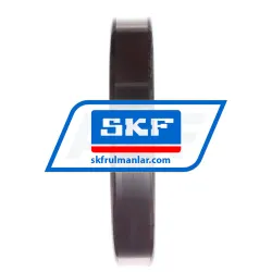 SKF 6020-2Z/C3 rulman resim 3