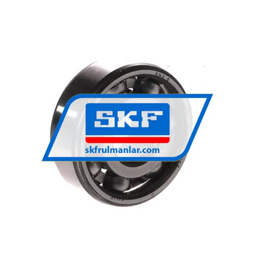 SKF RMS5
