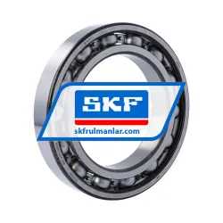 SKF 6022