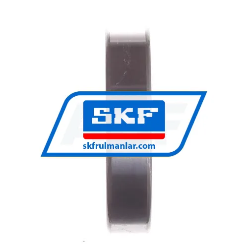 SKF 6009-2RS1/C3WT ürün fotoğrafı 2