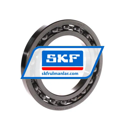 SKF 16019