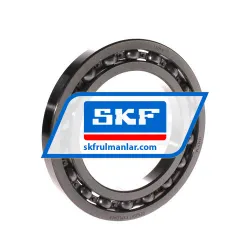 SKF 16019