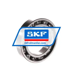 SKF 61906
