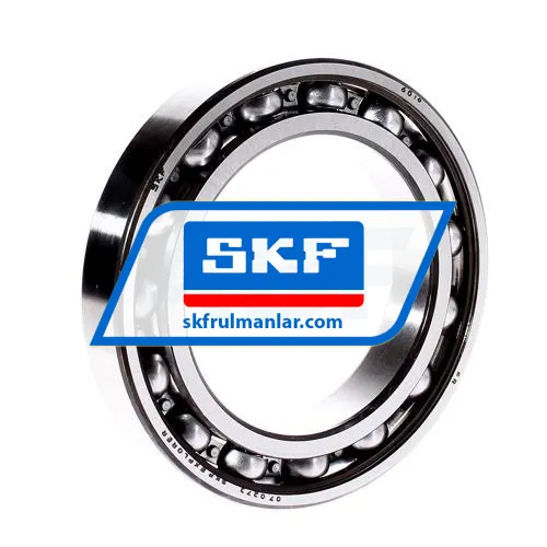 SKF 6019