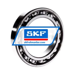 SKF 6019
