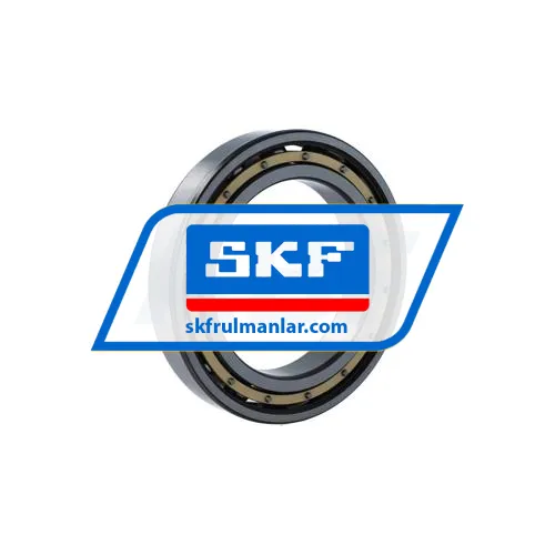 SKF 6020M/C4 ürün fotoğrafı 2