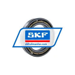 SKF 6020M/C4