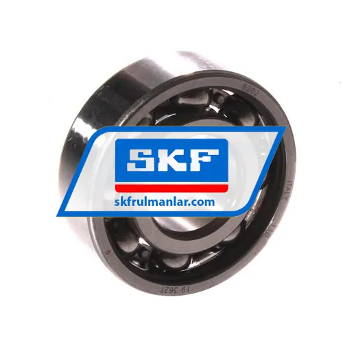 SKF 6202