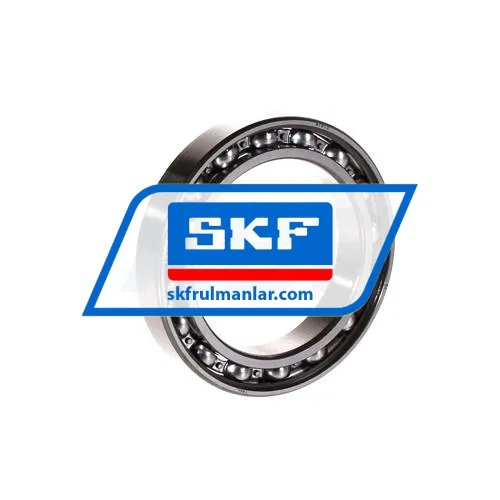 SKF 61910