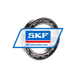 SKF 61910