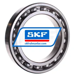 SKF 6030