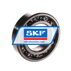 SKF 6006