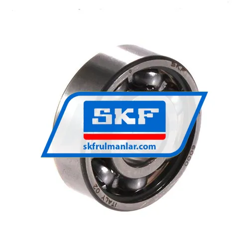SKF 6000