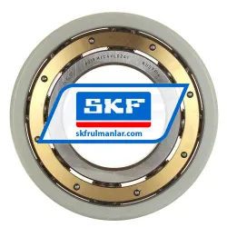 SKF 6319M/C4VL0241 rulman resim 3