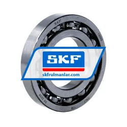 SKF 16005