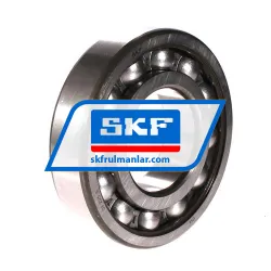 SKF 313