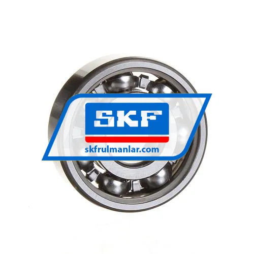 SKF 6302
