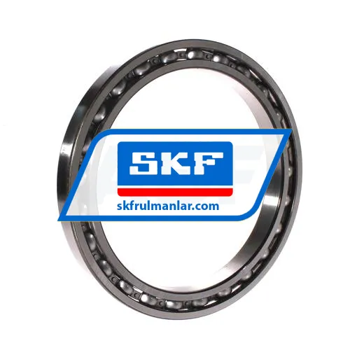 SKF 61834