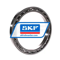 SKF 61834