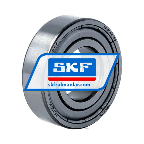 SKF E2-6004-2Z