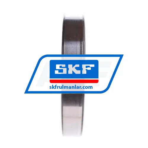 SKF 6020-2RS1 ürün fotoğrafı 4