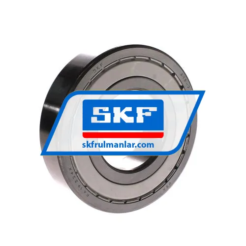 SKF 313-2Z
