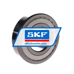 SKF 313-2Z