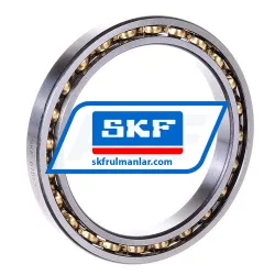SKF 61813