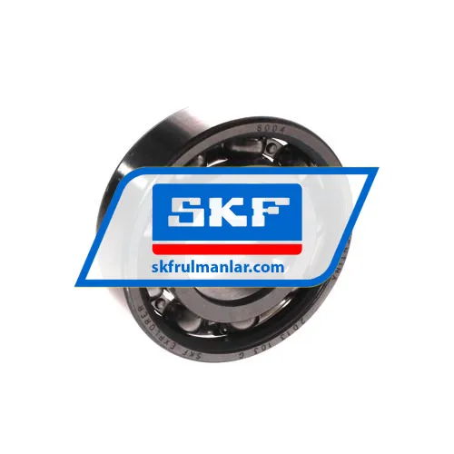 SKF 6004