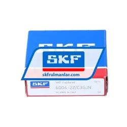 SKF 6004-2Z/C3GJN rulman resim 3