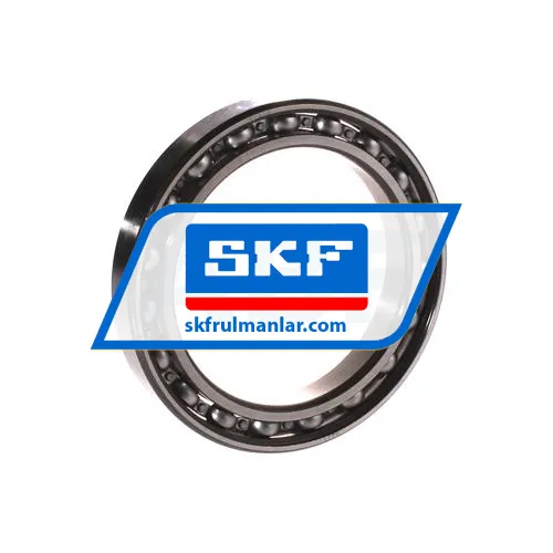 SKF 61913