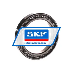 SKF 61913
