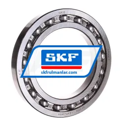 SKF 16022