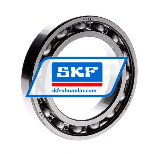 SKF 6015