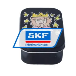 SKF SPSB1337/OR rulman resim 3