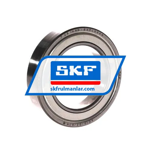 SKF 6010-2Z/GJN
