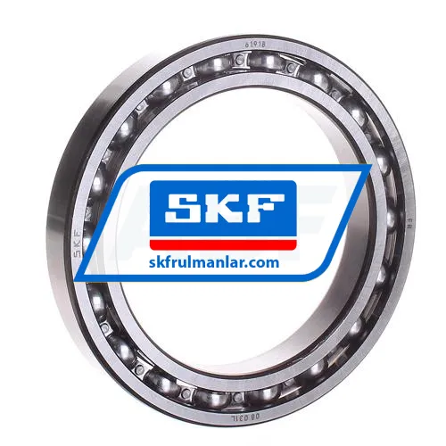 SKF 61918
