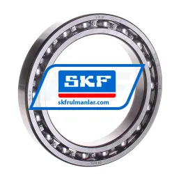SKF 61918