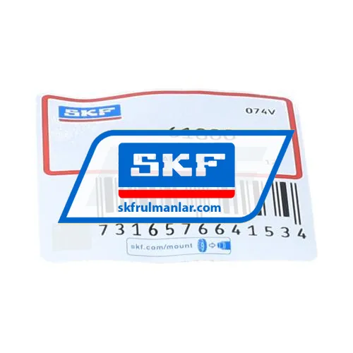 SKF 61800