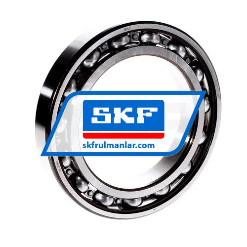SKF 6021