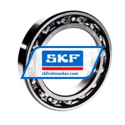 SKF 6021