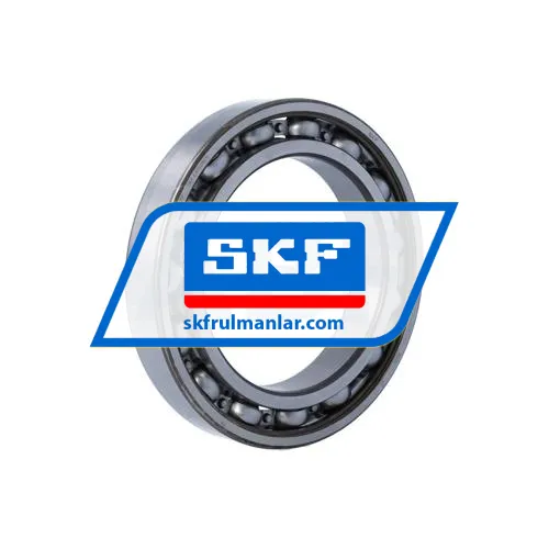SKF 6020