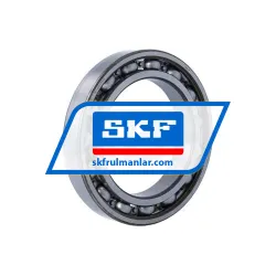 SKF 6020