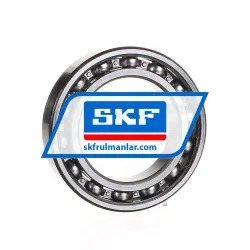 SKF 6010