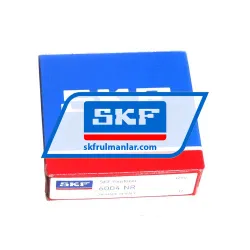 SKF 6004NR rulman resim 3