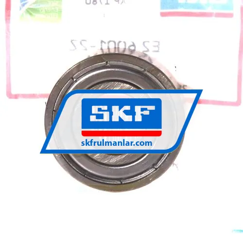 SKF E2-6001-2Z/C3