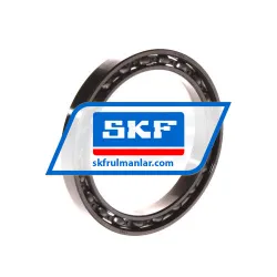 SKF 61809