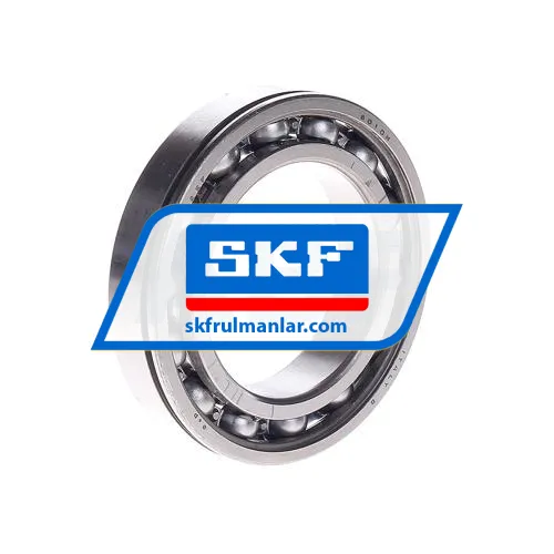 SKF 6010N